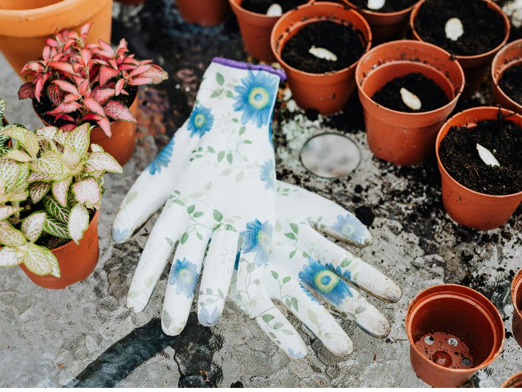 Gartenpflege-Artikel